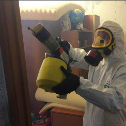 Уничтожение клопов в квартире. Кондопога